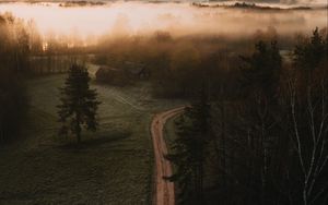 Preview wallpaper road, field, trees, fog, dusk, aerial view