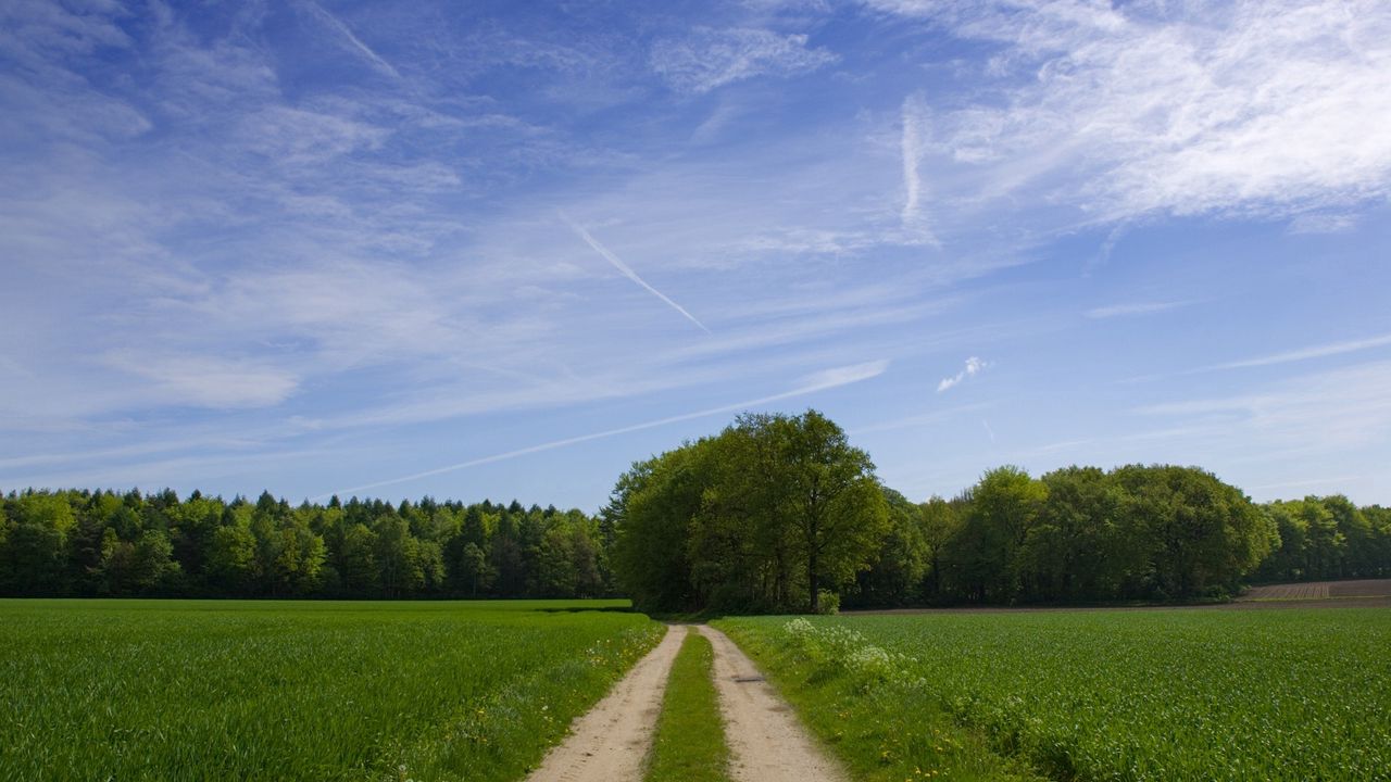 Wallpaper road, field, trees, greens, sky, clouds, blue, green