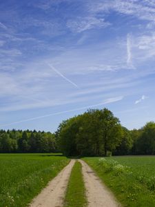 Preview wallpaper road, field, trees, greens, sky, clouds, blue, green