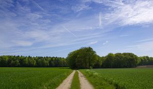 Preview wallpaper road, field, trees, greens, sky, clouds, blue, green