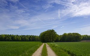 Preview wallpaper road, field, trees, greens, sky, clouds, blue, green