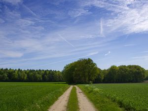 Preview wallpaper road, field, trees, greens, sky, clouds, blue, green