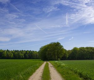 Preview wallpaper road, field, trees, greens, sky, clouds, blue, green