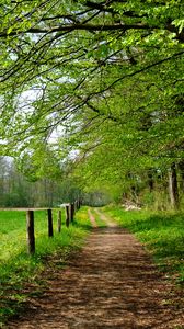 Preview wallpaper road, field, trees, landscape