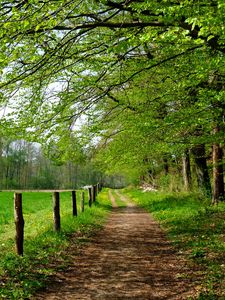 Preview wallpaper road, field, trees, landscape