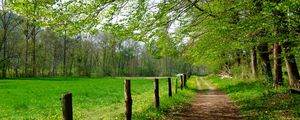 Preview wallpaper road, field, trees, landscape