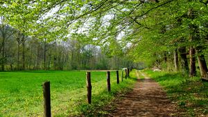 Preview wallpaper road, field, trees, landscape