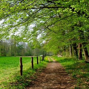 Preview wallpaper road, field, trees, landscape