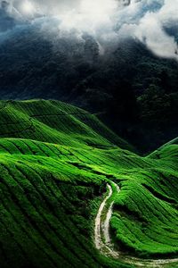 Preview wallpaper road, fields, clouds, slopes, greens