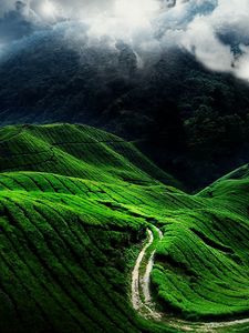 Preview wallpaper road, fields, clouds, slopes, greens