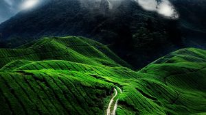 Preview wallpaper road, fields, clouds, slopes, greens