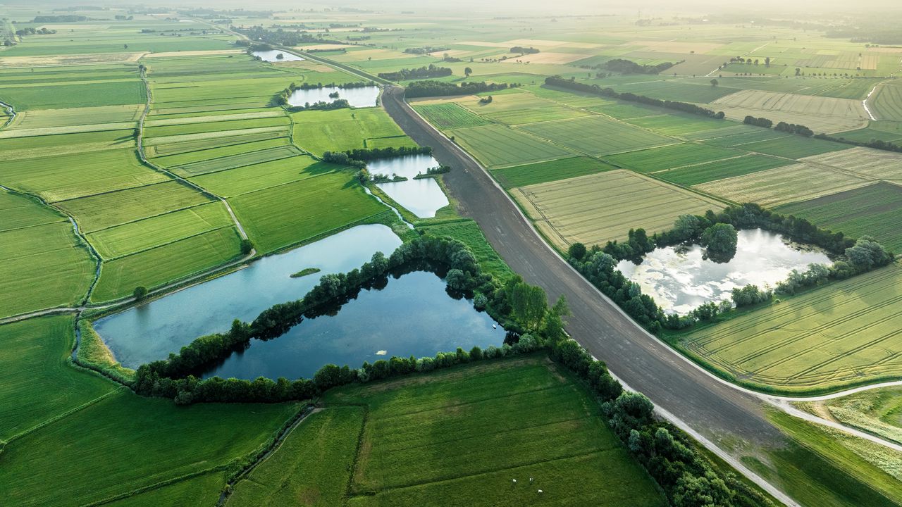 Wallpaper road, fields, ponds, grass, nature