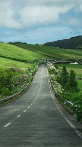 Preview wallpaper road, flowers, slope, hills