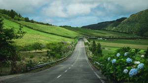 Preview wallpaper road, flowers, slope, hills