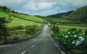 Preview wallpaper road, flowers, slope, hills