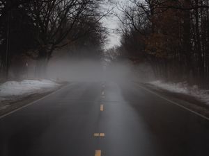 Preview wallpaper road, fog, alley, trees