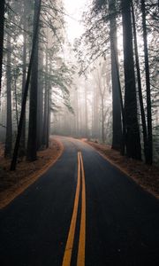 Preview wallpaper road, fog, autumn, marking, forest, turn, trees