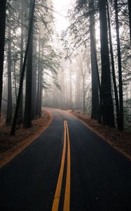 Preview wallpaper road, fog, autumn, marking, forest, turn, trees