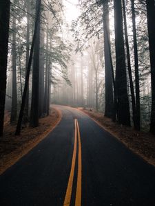 Preview wallpaper road, fog, autumn, marking, forest, turn, trees