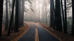 Preview wallpaper road, fog, autumn, marking, forest, turn, trees