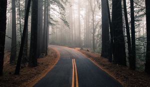 Preview wallpaper road, fog, autumn, marking, forest, turn, trees