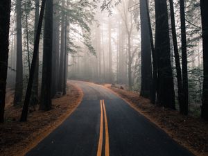 Preview wallpaper road, fog, autumn, marking, forest, turn, trees