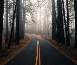 Preview wallpaper road, fog, autumn, marking, forest, turn, trees