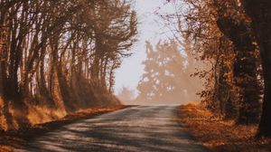 Preview wallpaper road, fog, autumn, trees, turn