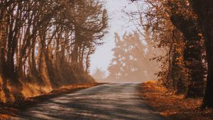 Preview wallpaper road, fog, autumn, trees, turn