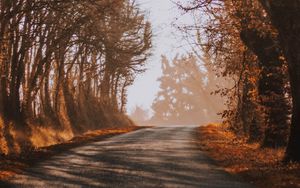 Preview wallpaper road, fog, autumn, trees, turn