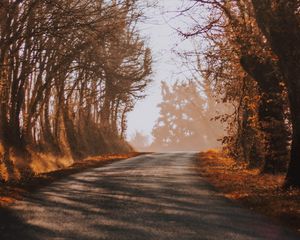 Preview wallpaper road, fog, autumn, trees, turn