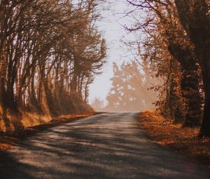 Preview wallpaper road, fog, autumn, trees, turn