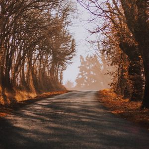 Preview wallpaper road, fog, autumn, trees, turn