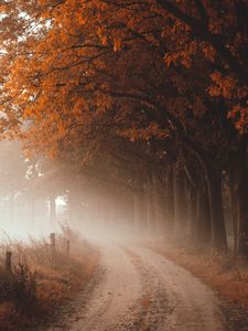 Preview wallpaper road, fog, autumn, trees