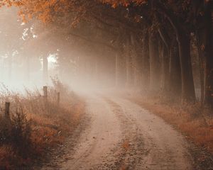 Preview wallpaper road, fog, autumn, trees