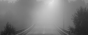 Preview wallpaper road, fog, bridge, streetlights, asphalt, forest, bw