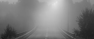 Preview wallpaper road, fog, bridge, streetlights, asphalt, forest, bw