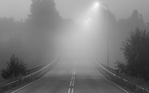 Preview wallpaper road, fog, bridge, streetlights, asphalt, forest, bw