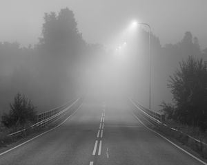 Preview wallpaper road, fog, bridge, streetlights, asphalt, forest, bw