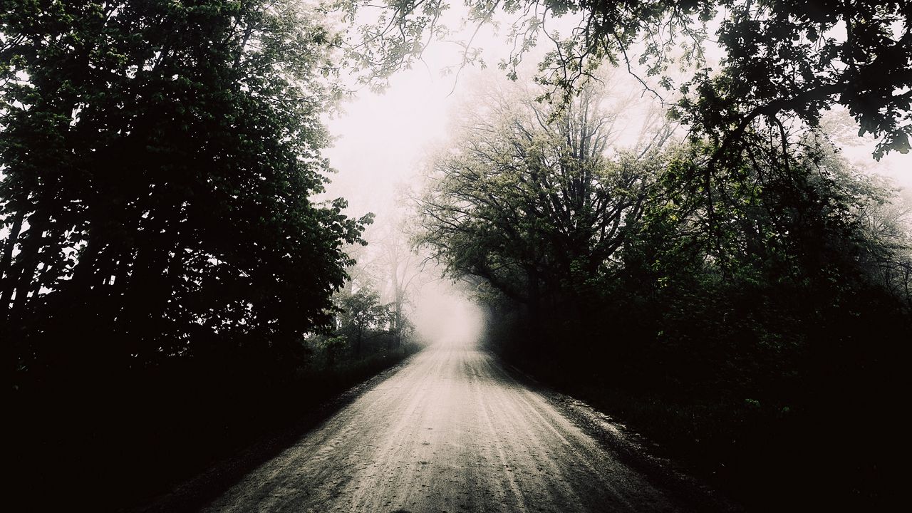 Wallpaper road, fog, bw, trees