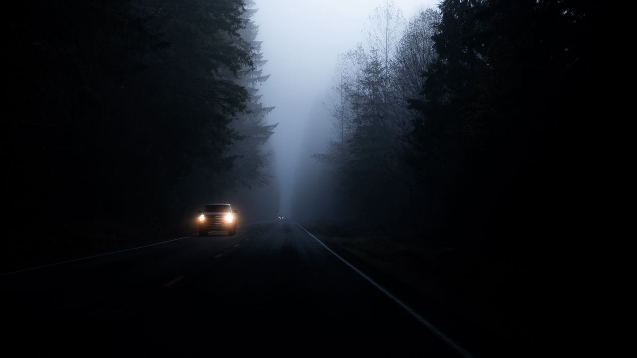 Wallpaper road, fog, dark, trees, car