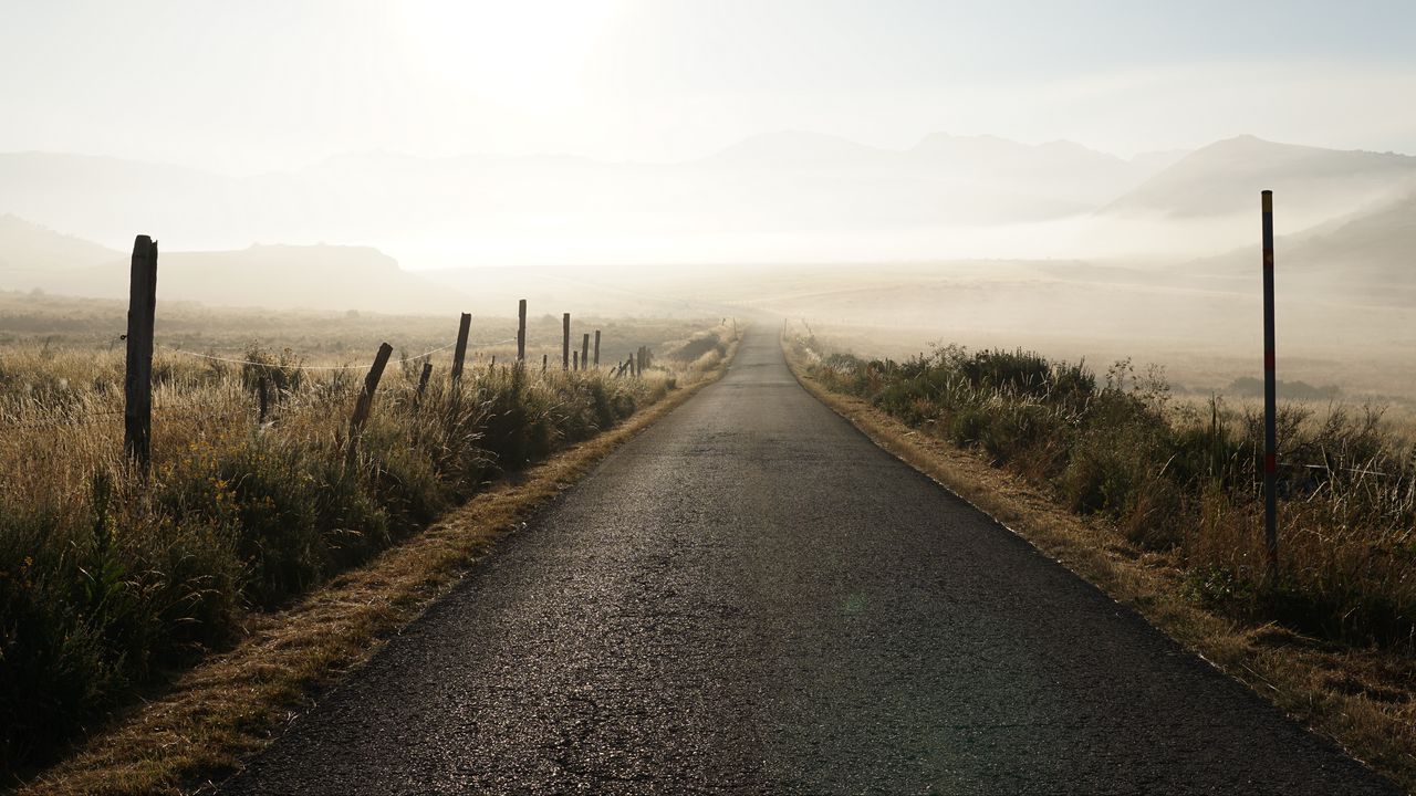 Wallpaper road, fog, desert, grass