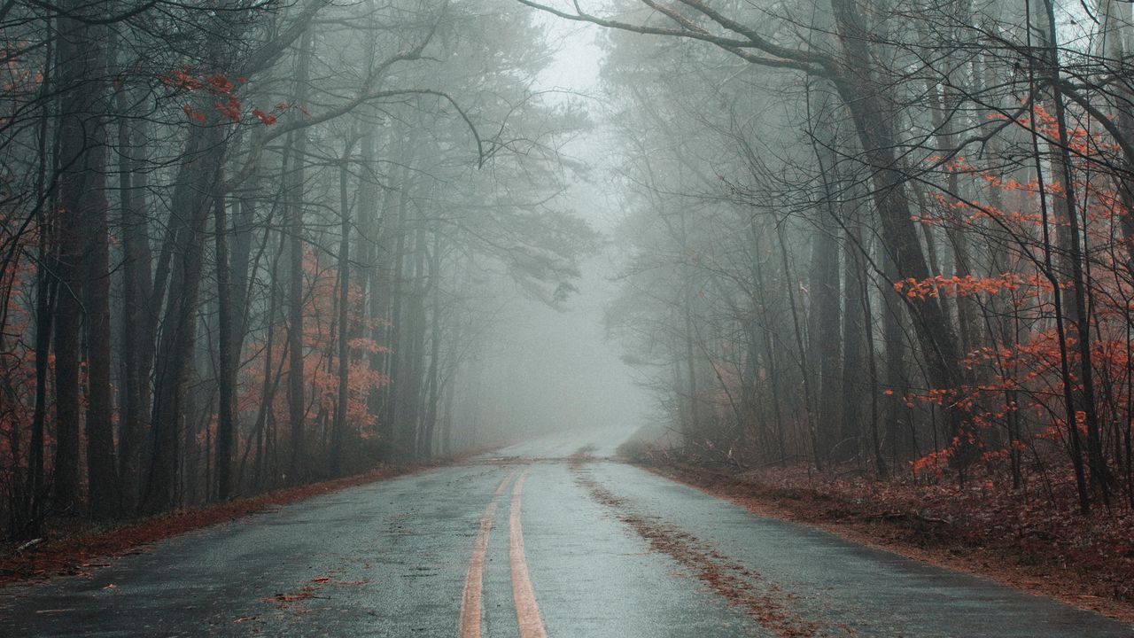 Wallpaper road, fog, forest, autumn, marking, asphalt