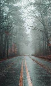 Preview wallpaper road, fog, forest, autumn, marking, asphalt