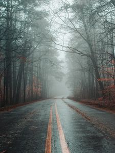 Preview wallpaper road, fog, forest, autumn, marking, asphalt