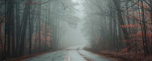 Preview wallpaper road, fog, forest, autumn, marking, asphalt
