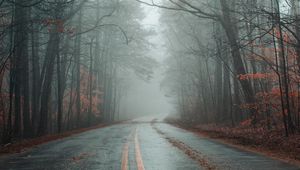 Preview wallpaper road, fog, forest, autumn, marking, asphalt