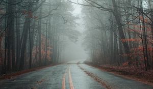 Preview wallpaper road, fog, forest, autumn, marking, asphalt