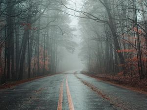 Preview wallpaper road, fog, forest, autumn, marking, asphalt