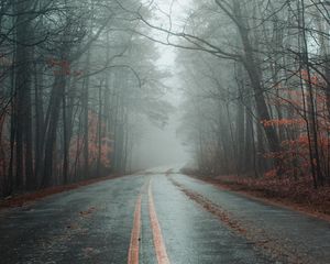 Preview wallpaper road, fog, forest, autumn, marking, asphalt